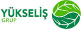 Yükseliş Grup